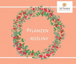 Lekcja 49 - Pflanzen – rośliny