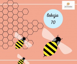 Lekcja 70 - Insekten - Owady
