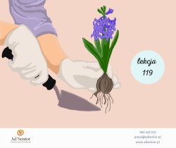 Lekcja 119 - Gartenarbeiten- Prace w ogrodzie