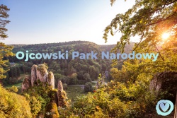 Wakacyjne aktywności cz.1
