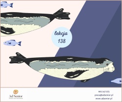 Lekcja 138 - Wilde Tiere - dzikie zwierzęta